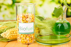 Mary Tavy biofuel availability